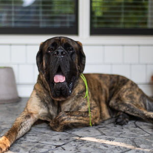 Fundraising Page: Jamie Singleton